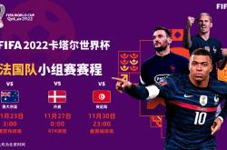 开云体育中国官网-包含丹麦队客场战平波兰，晋级强的词条