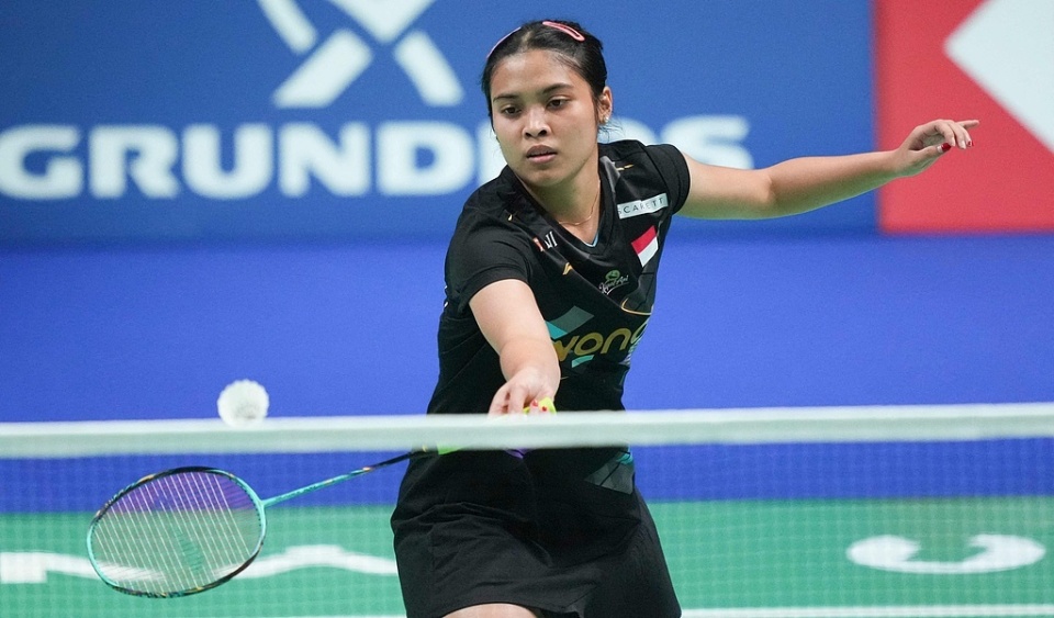 法国队绝杀丹麦队，戴资颖惊艳四座的简单介绍